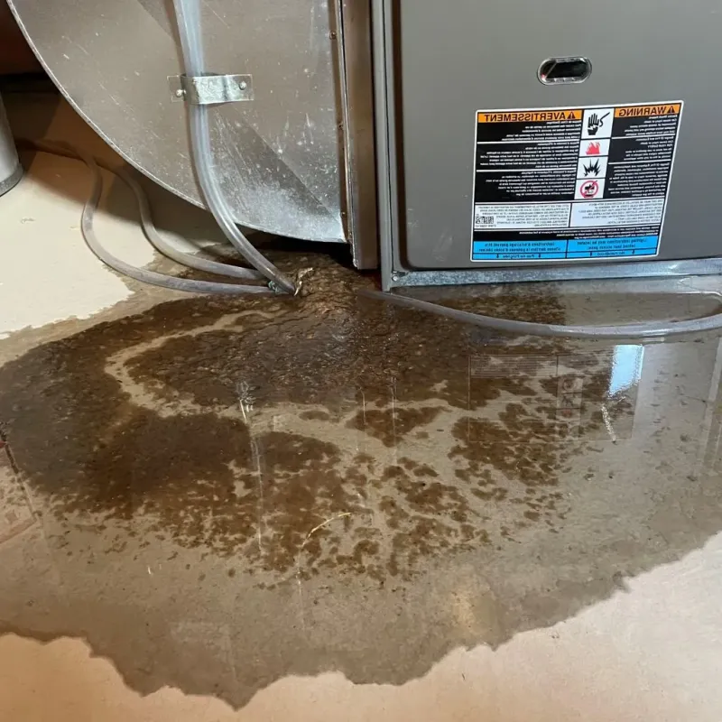 Pipe Burst and Leak Restoration in Jaffrey, NH